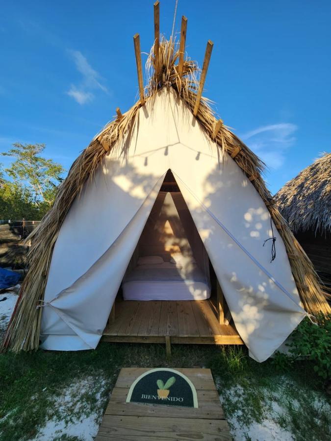 Saona Lodge Mano Juan エクステリア 写真