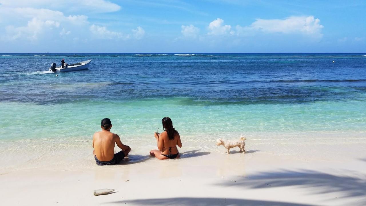 Saona Lodge Mano Juan エクステリア 写真