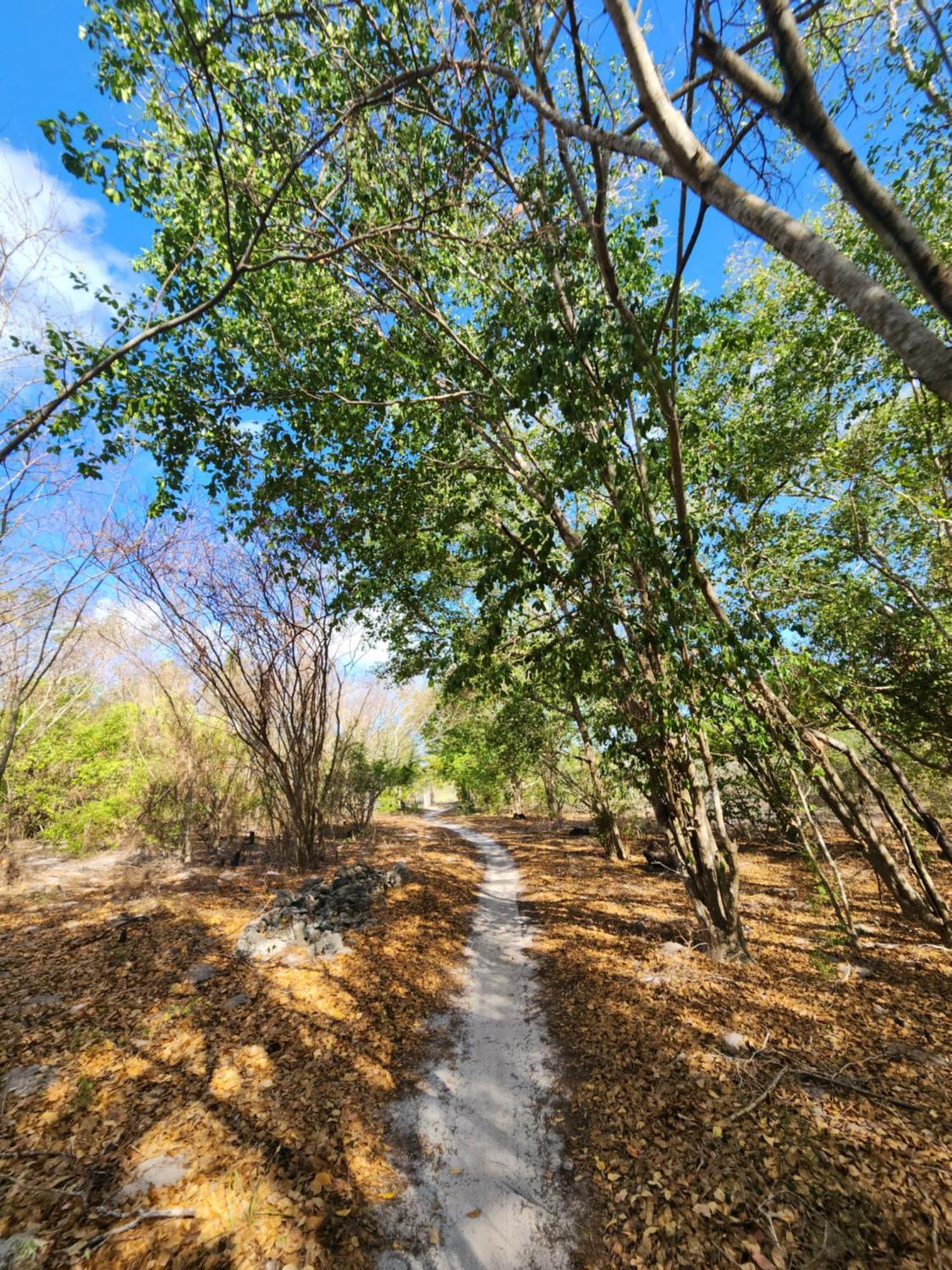 Saona Lodge Mano Juan エクステリア 写真