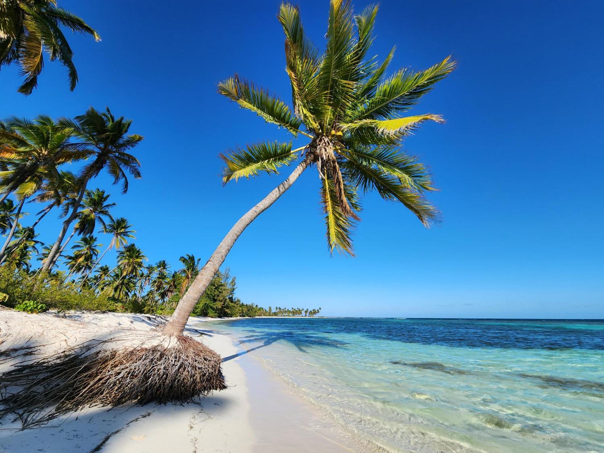 Saona Lodge Mano Juan エクステリア 写真